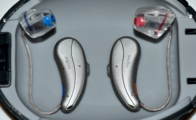 hearing-aids-4740156_640