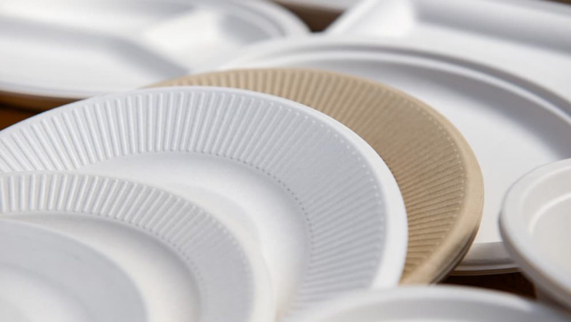 איזה צלחות חד פעמיות הכי טובות קיום בשוק?