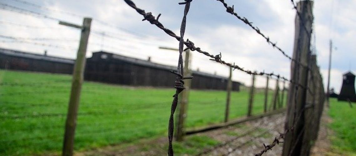 פיצויים לניצולי שואה